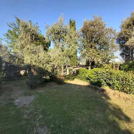Campagnatico Tenuta Santa Mariaヴィラ エクステリア 写真