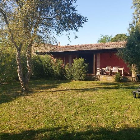 Campagnatico Tenuta Santa Mariaヴィラ エクステリア 写真