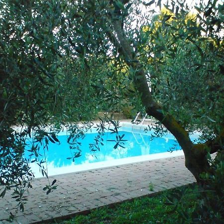 Campagnatico Tenuta Santa Mariaヴィラ エクステリア 写真