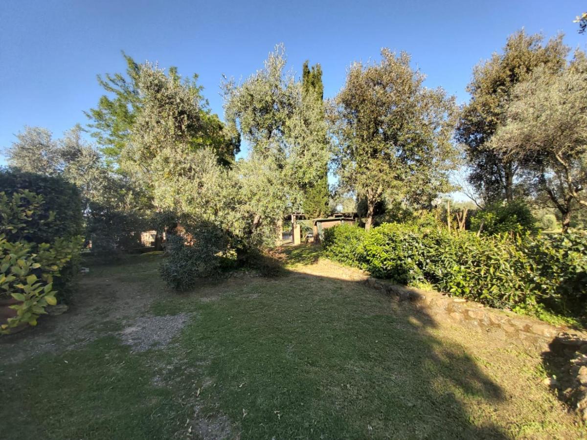 Campagnatico Tenuta Santa Mariaヴィラ エクステリア 写真