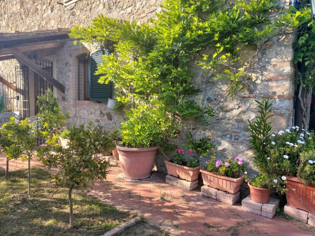 Campagnatico Tenuta Santa Mariaヴィラ エクステリア 写真