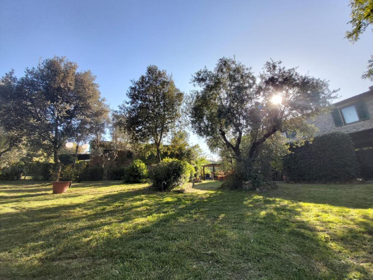 Campagnatico Tenuta Santa Mariaヴィラ エクステリア 写真