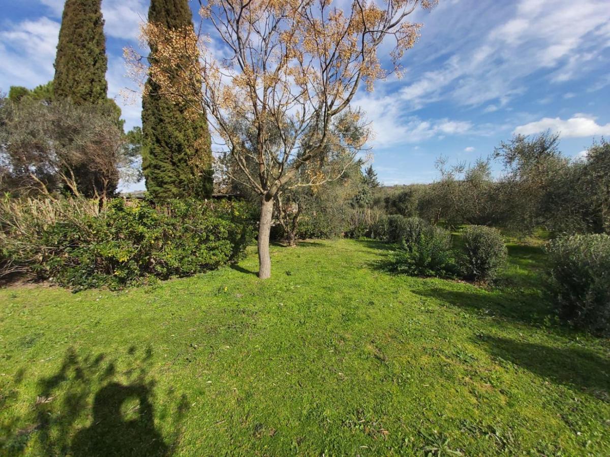 Campagnatico Tenuta Santa Mariaヴィラ エクステリア 写真