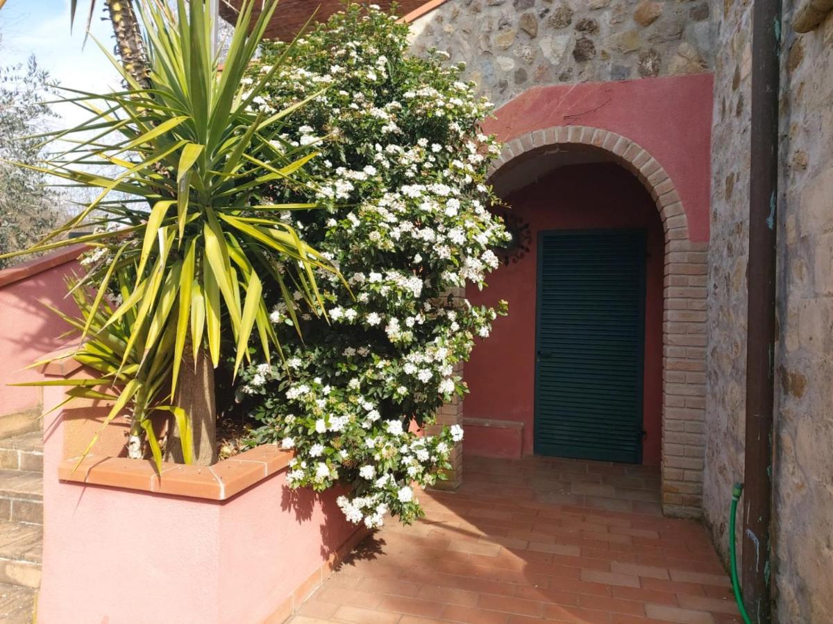 Campagnatico Tenuta Santa Mariaヴィラ エクステリア 写真