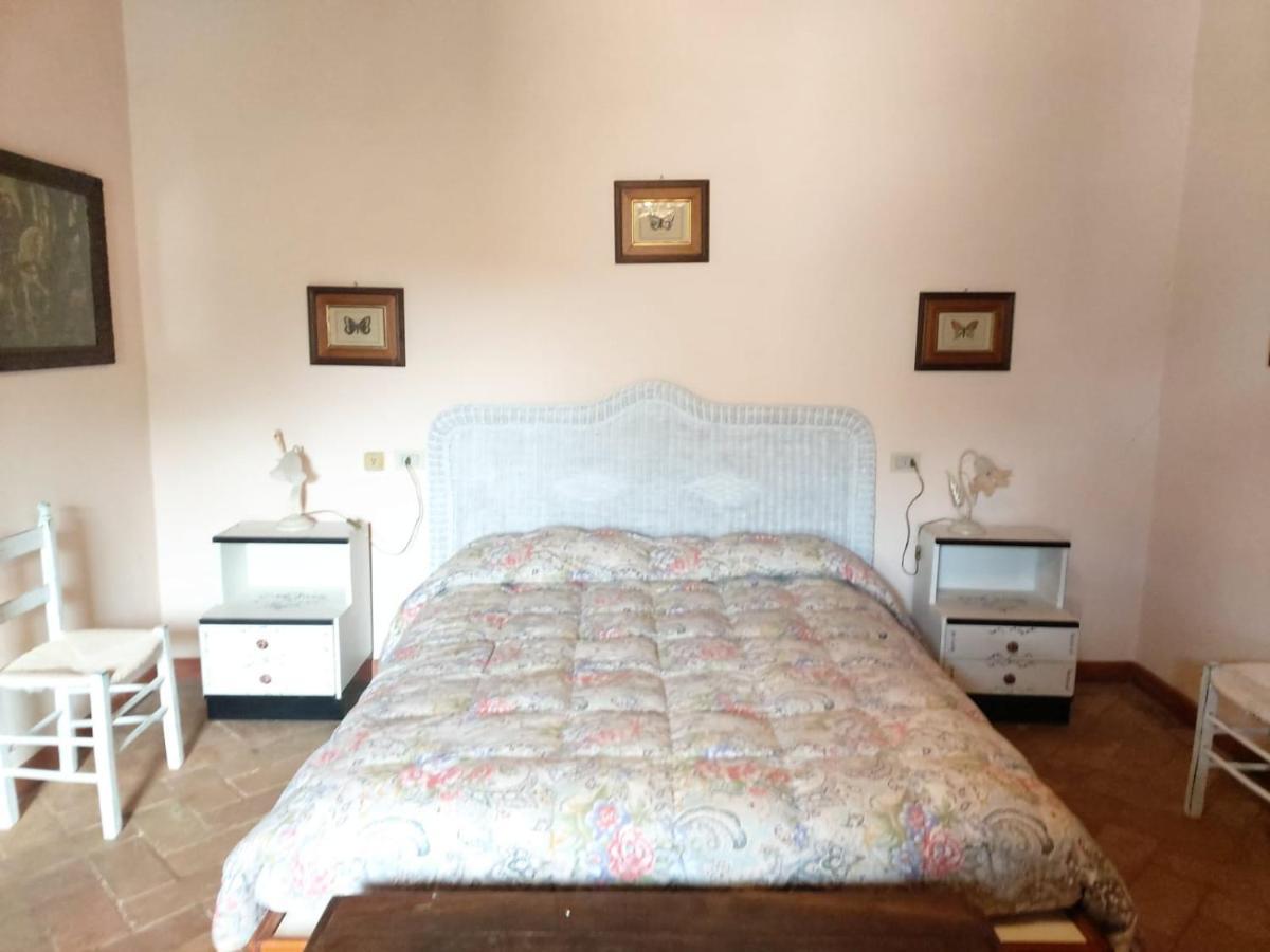 Campagnatico Tenuta Santa Mariaヴィラ エクステリア 写真