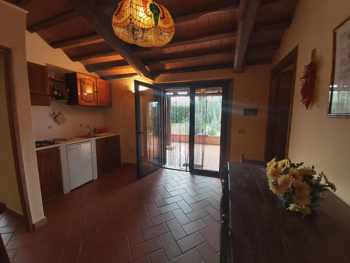 Campagnatico Tenuta Santa Mariaヴィラ エクステリア 写真