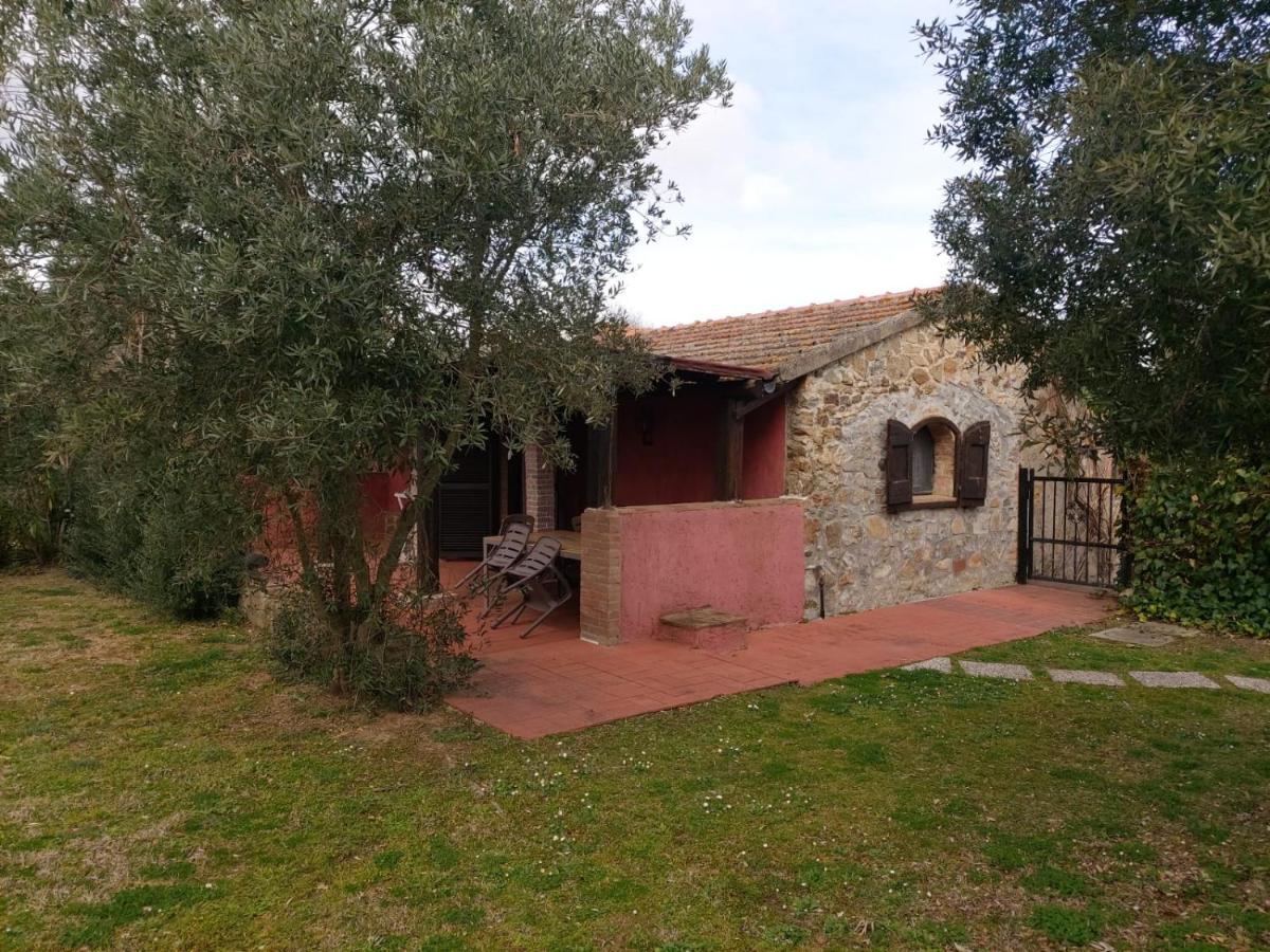 Campagnatico Tenuta Santa Mariaヴィラ エクステリア 写真