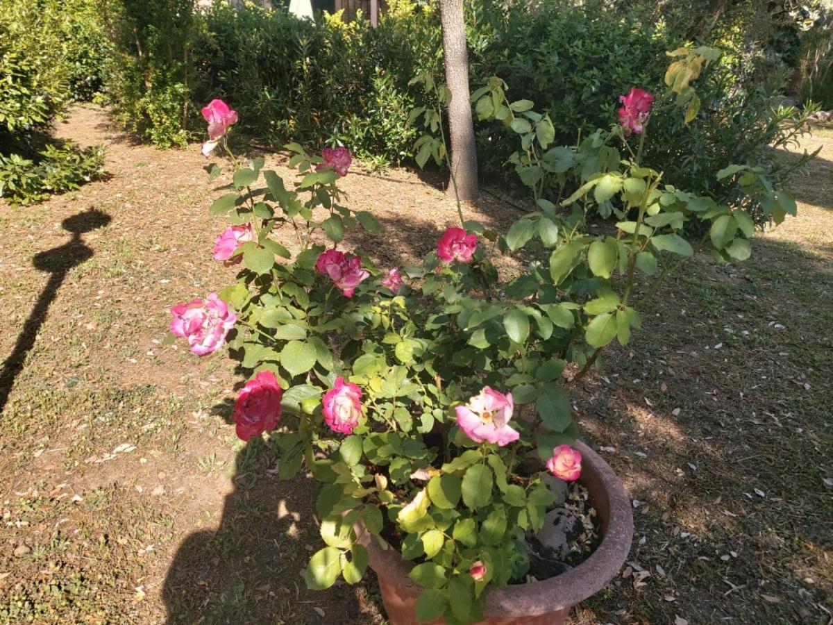 Campagnatico Tenuta Santa Mariaヴィラ エクステリア 写真