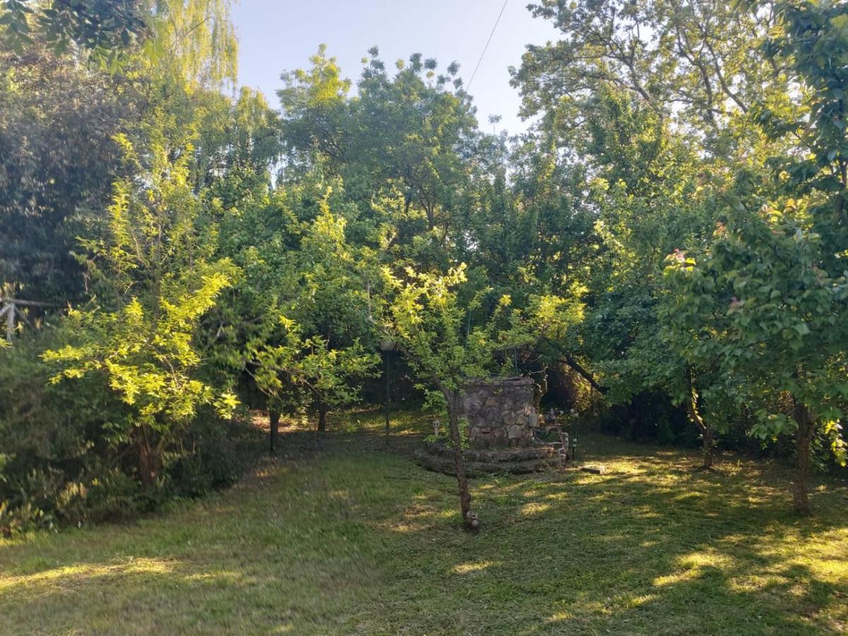 Campagnatico Tenuta Santa Mariaヴィラ エクステリア 写真