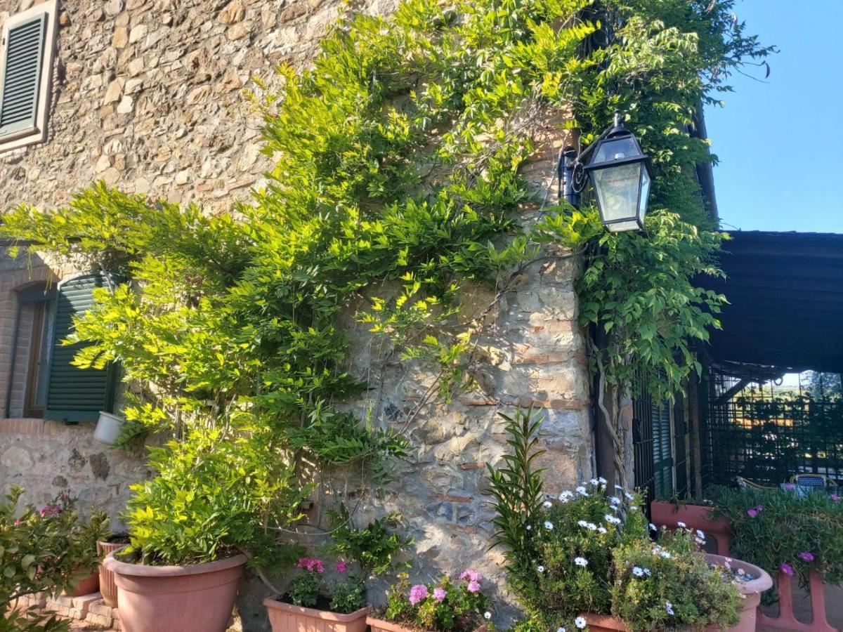 Campagnatico Tenuta Santa Mariaヴィラ エクステリア 写真