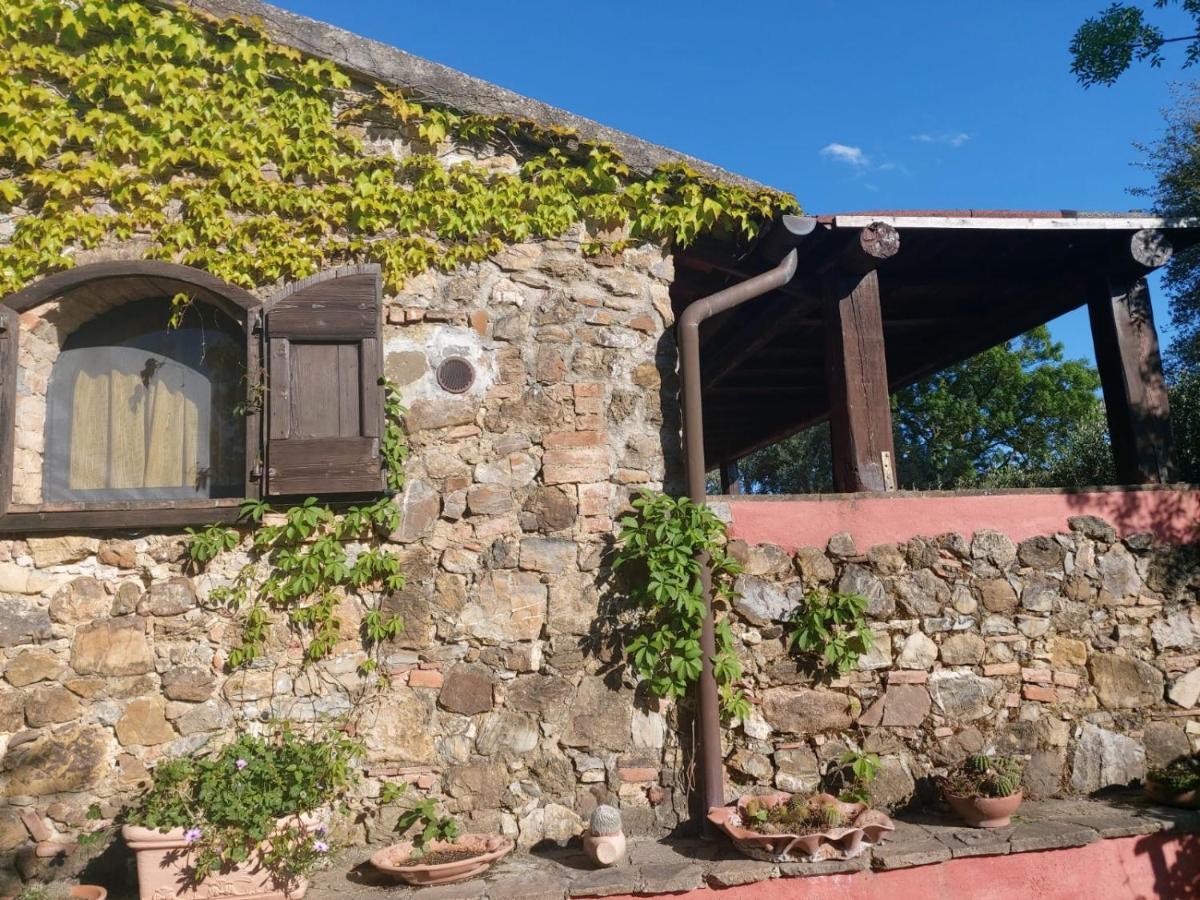 Campagnatico Tenuta Santa Mariaヴィラ エクステリア 写真