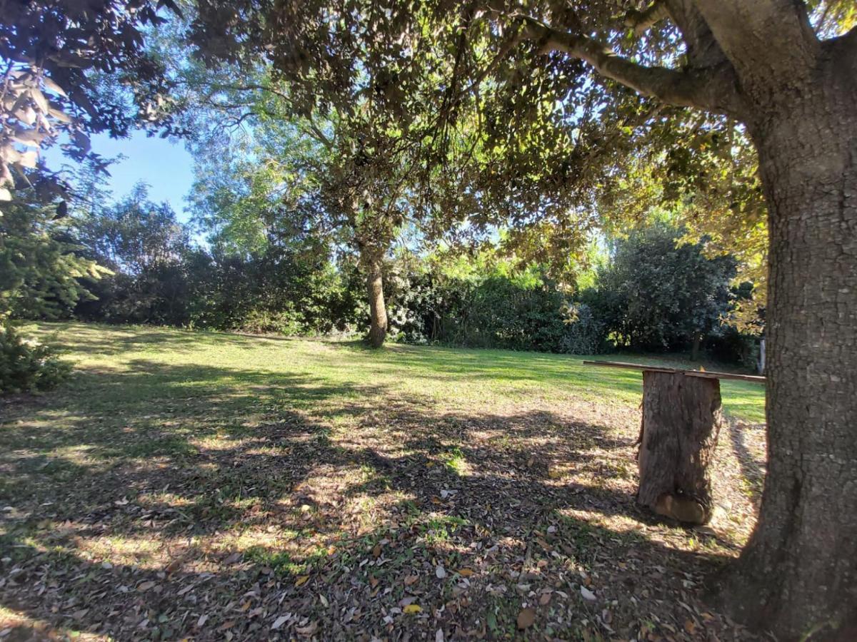 Campagnatico Tenuta Santa Mariaヴィラ エクステリア 写真