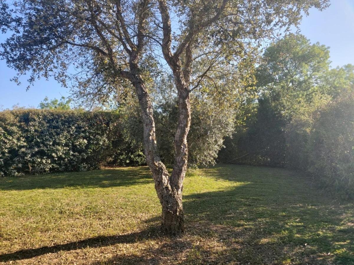 Campagnatico Tenuta Santa Mariaヴィラ エクステリア 写真