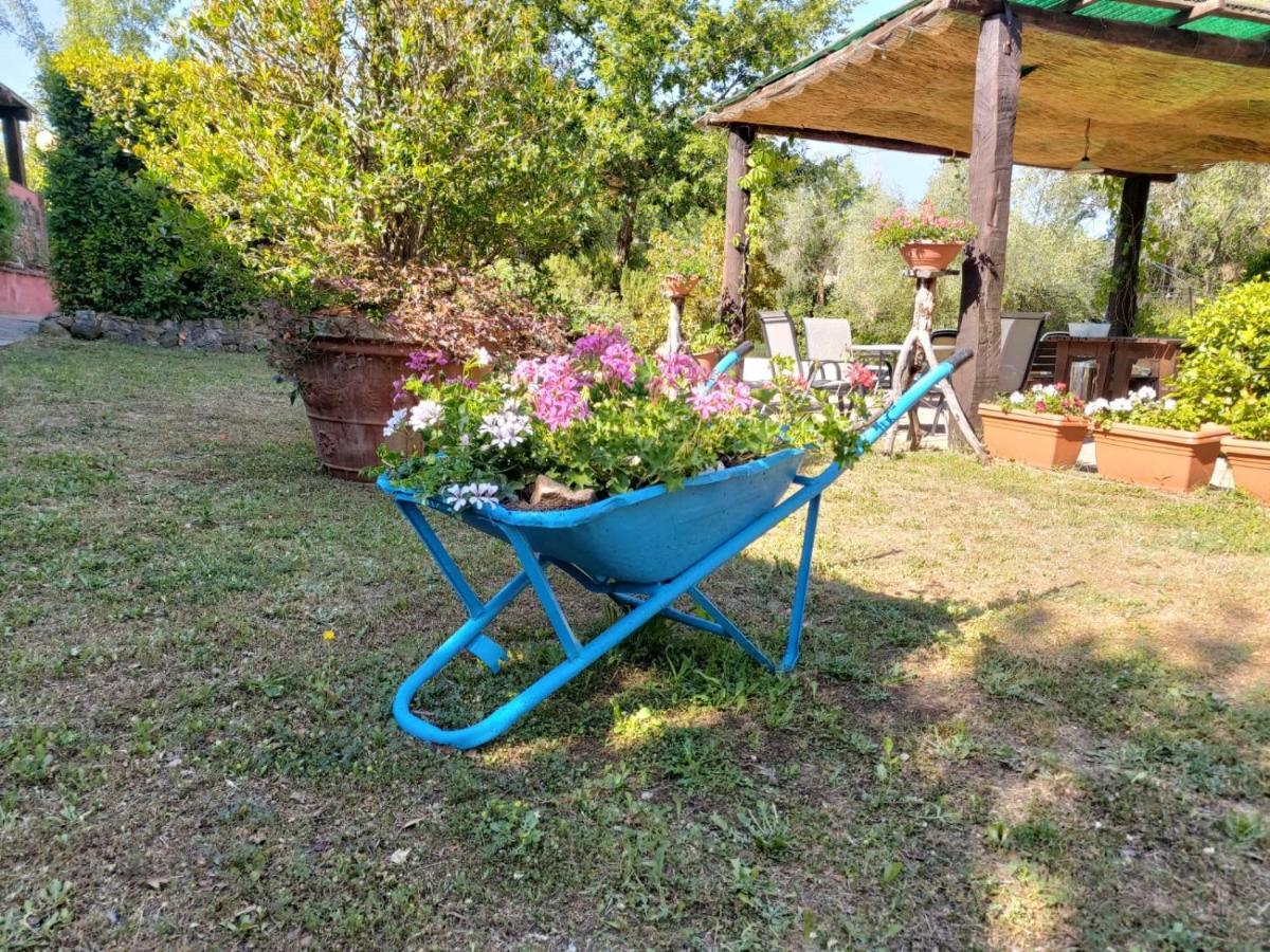 Campagnatico Tenuta Santa Mariaヴィラ エクステリア 写真