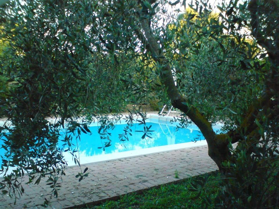 Campagnatico Tenuta Santa Mariaヴィラ エクステリア 写真